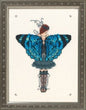 Miss Columbian Nymphalid - MIrabilia Pattern