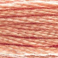 DMC Thread - 758
