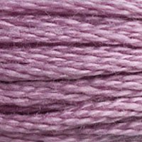 DMC Thread - 3836