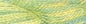 Caron Waterlilies - Lemon n Lime #027