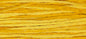 Weeks Dye Works - Squash 2224