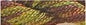 Caron Waterlilies - Umbria #204