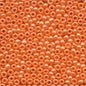 Glass Seed Beads: 00020 - 00777