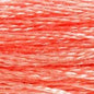 6 Strand Cotton: 300 - 399