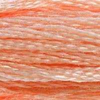 6 Strand Cotton: 300 - 399