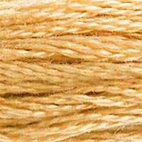 6 Strand Cotton: 400 - 499