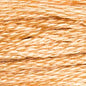 6 Strand Cotton: 400 - 499