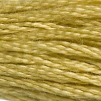 6 Strand Cotton: 800 - 899